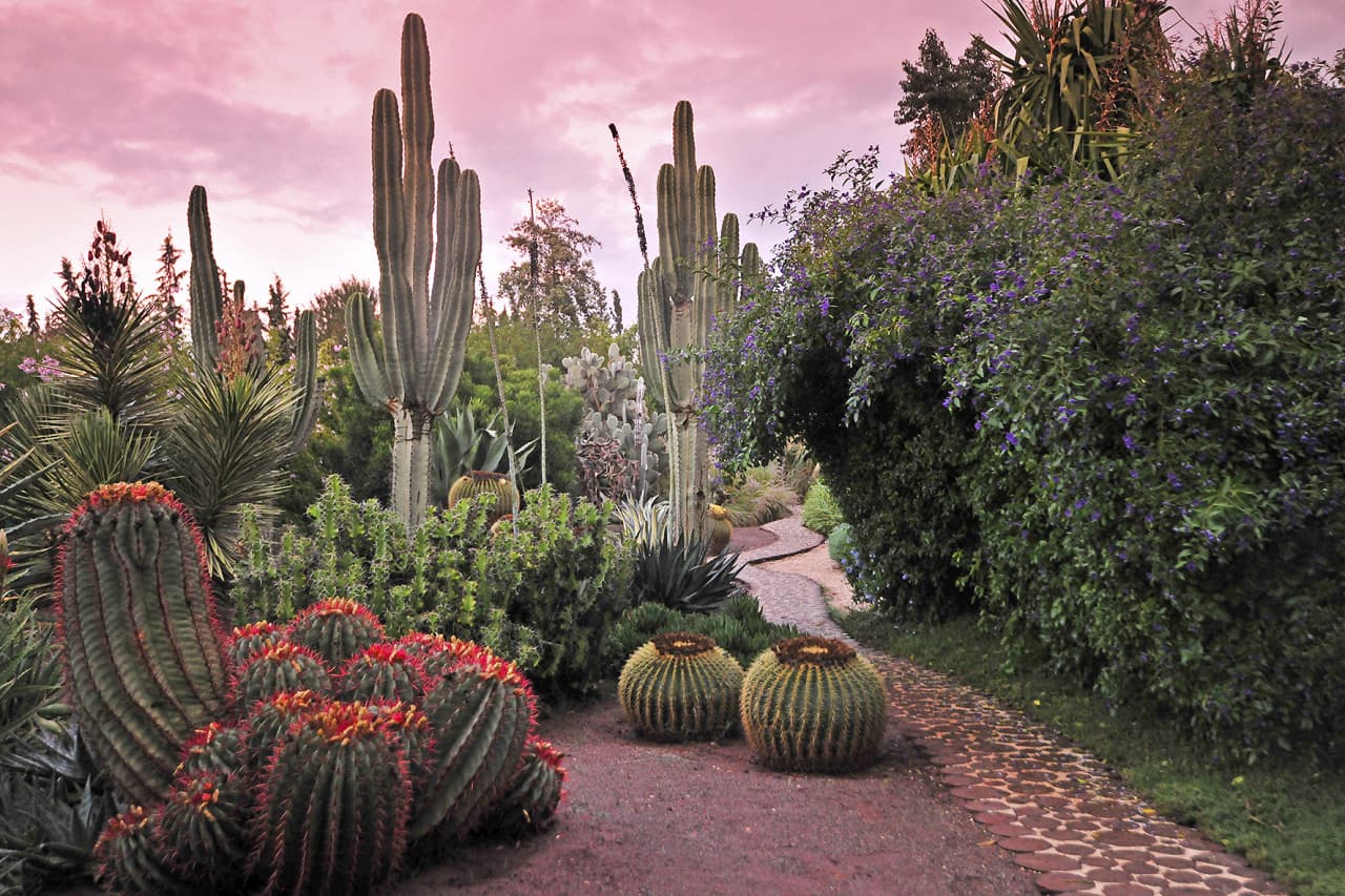 ANIMA Garden Ticket - image 3