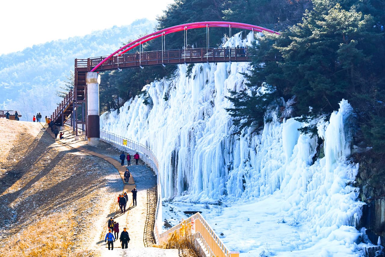 Gyeongju Kookmin Healing Park, Daegu Seomun Market, Songhae Park Ice Wall Full-Day Tour from Busan - image 2