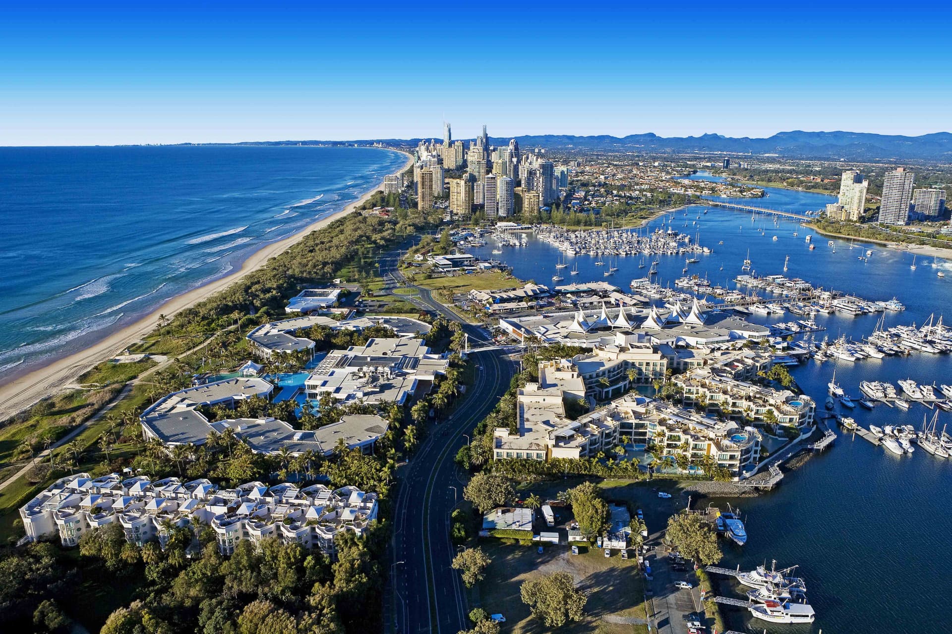 Gold Coast Full-Day Tour From Brisbane - image 10