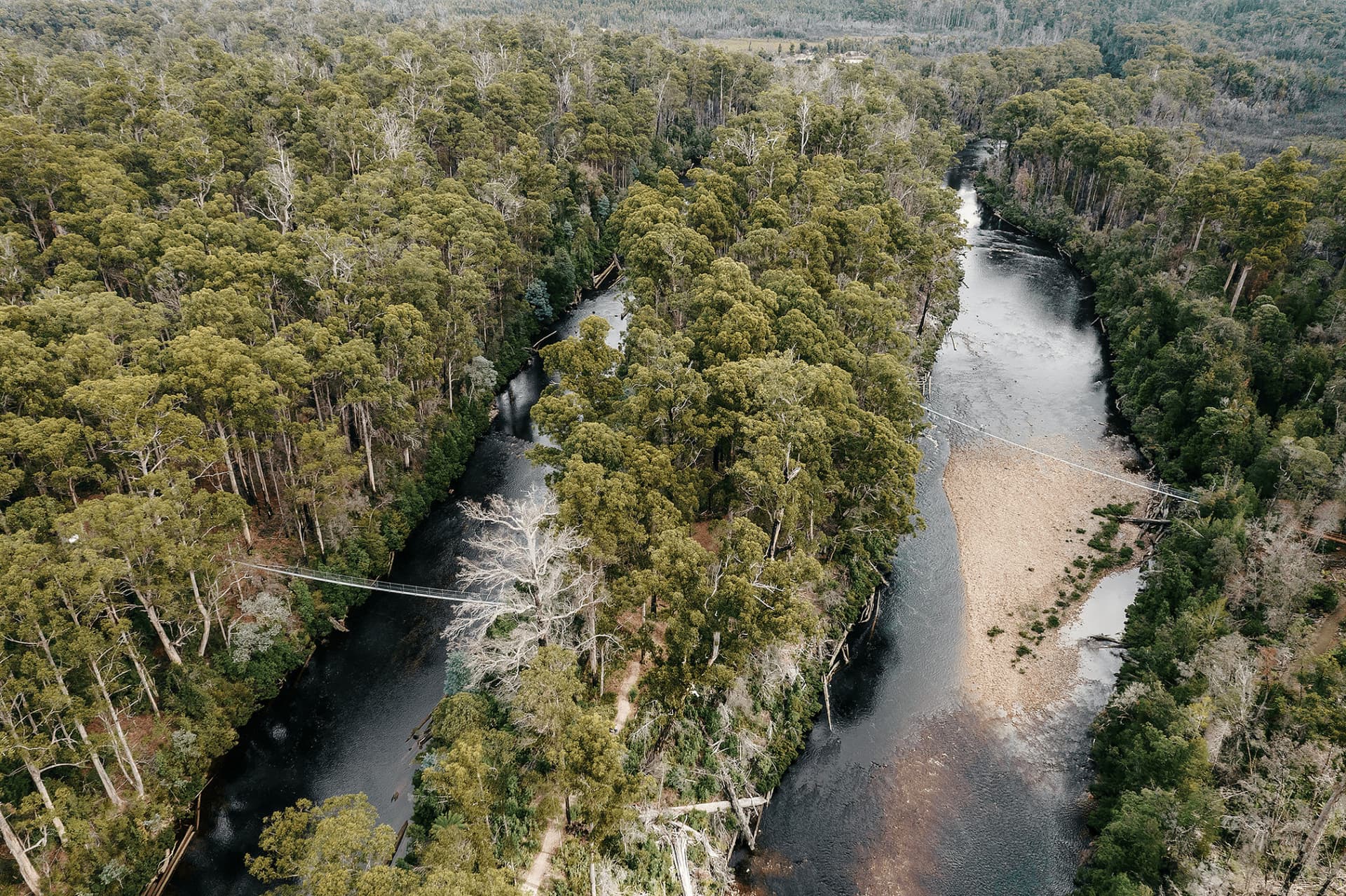 Tahune AirWalk Ticket - image 6
