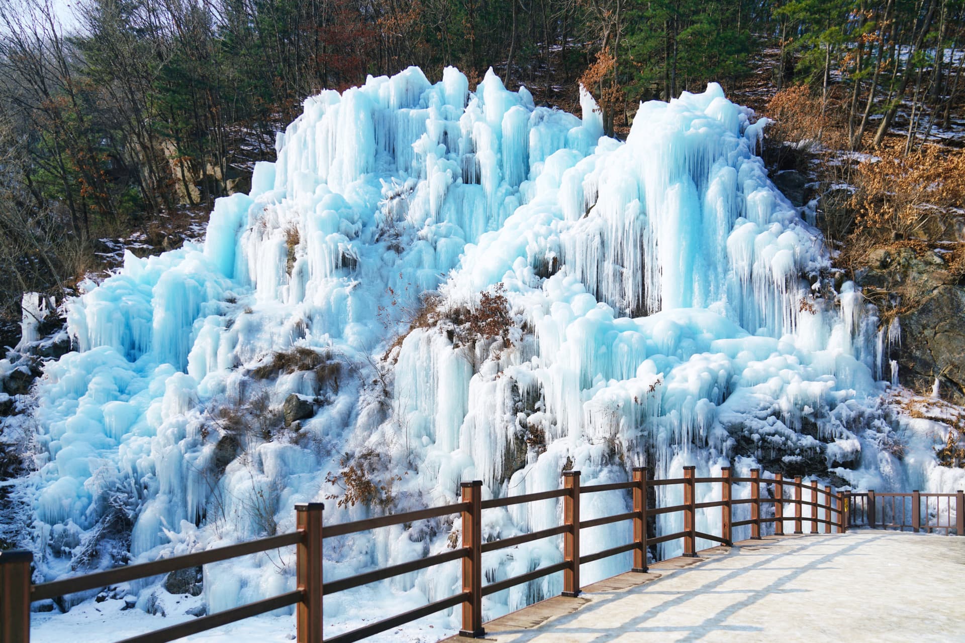 Nami Island and Garden of Morning Calm Tour from Seoul - image 12
